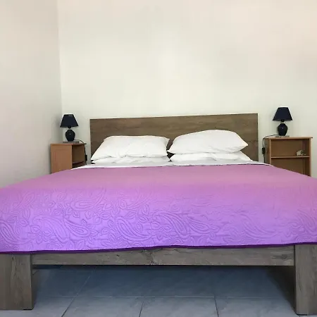 Apartment Branko